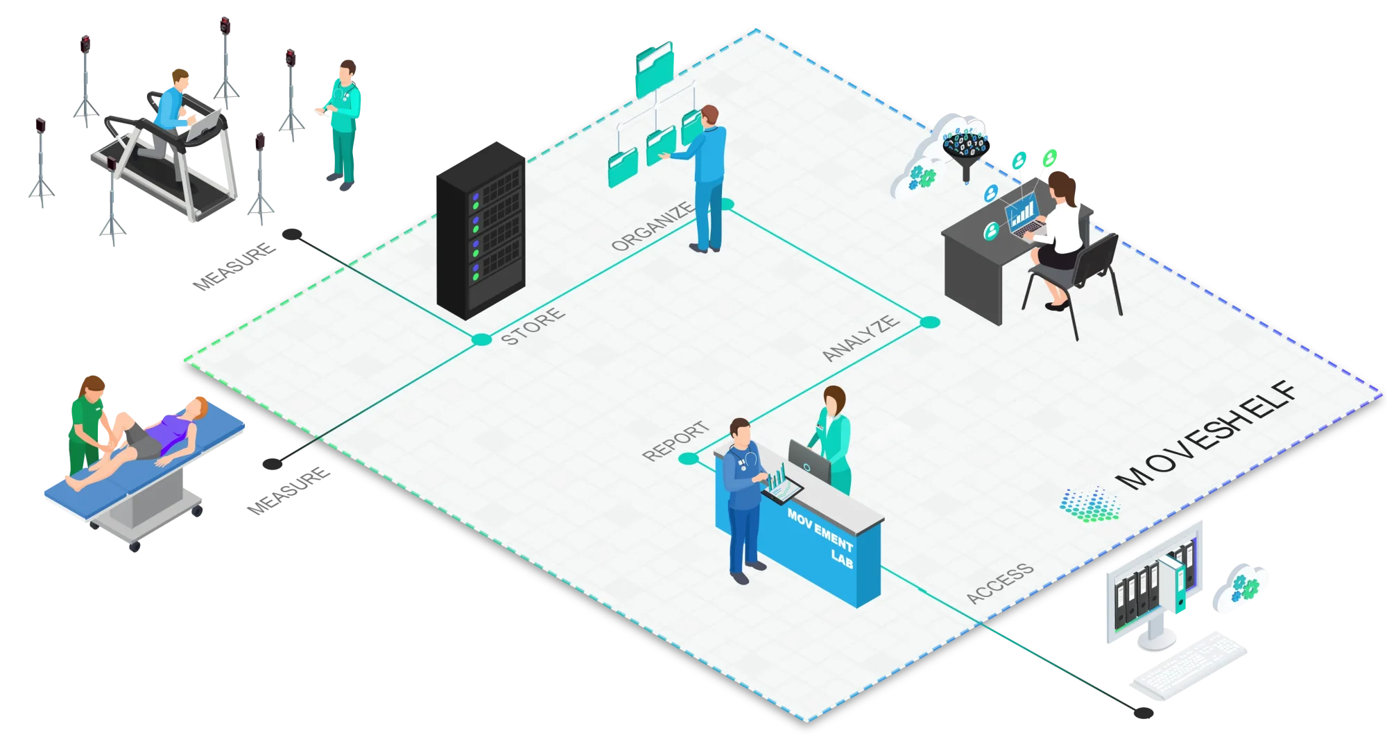 Moveshelf workflow diagram: measure, store, organize, analyze, report and access movement data